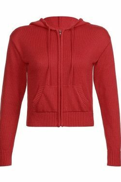 Coquette Aesthetic Hooded Crop Knit Cardigan - Y2K Fashion Women's Clothing