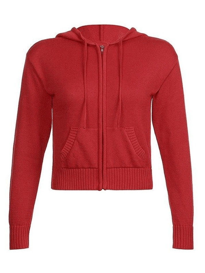Coquette Aesthetic Hooded Crop Knit Cardigan - Y2K Fashion Women's Clothing