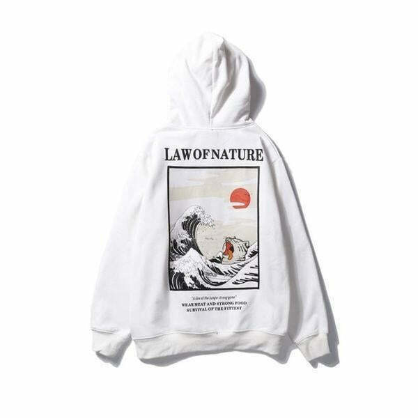 Coquette Aesthetic Law of Nature Hoodie - Y2K Fashion Grunge Style Cute Tops Pastel Goth