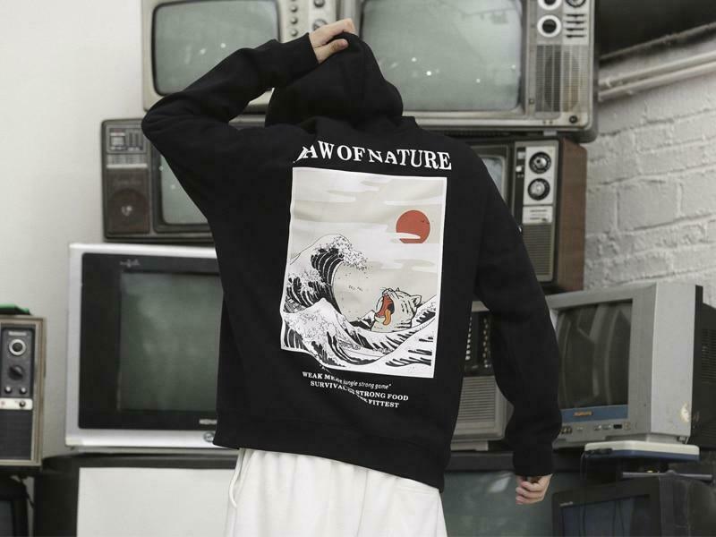 Coquette Aesthetic Law of Nature Hoodie - Y2K Fashion Grunge Style Cute Tops Pastel Goth