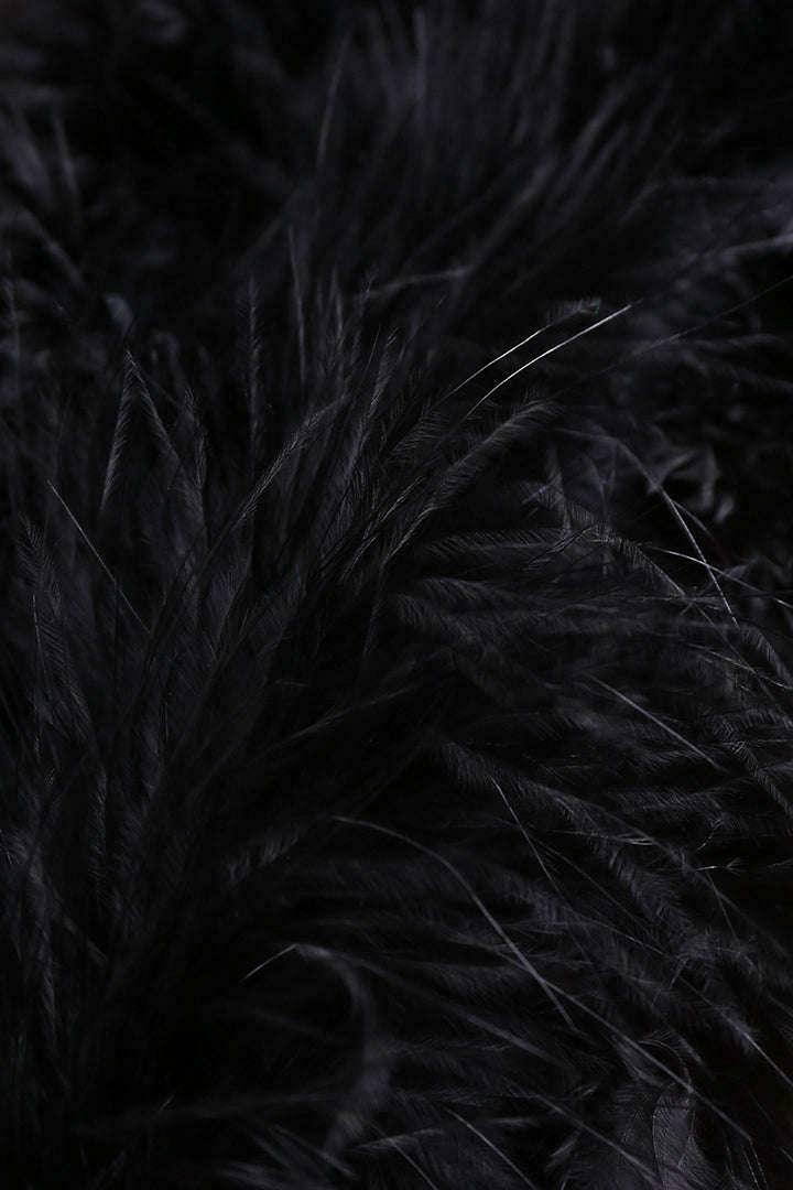Gothic Feather Crop Cami Top in Black - Y2K Fashion Aesthetic for Women