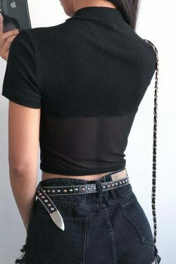 Moira Mesh Crop Top - Y2K Fashion Coquette Aesthetic Grunge Style Cute Tops Pastel Goth