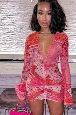 Pink & Red Paisley Mesh Dress - Y2K Fashion Statement with Coquette Aesthetic Twist