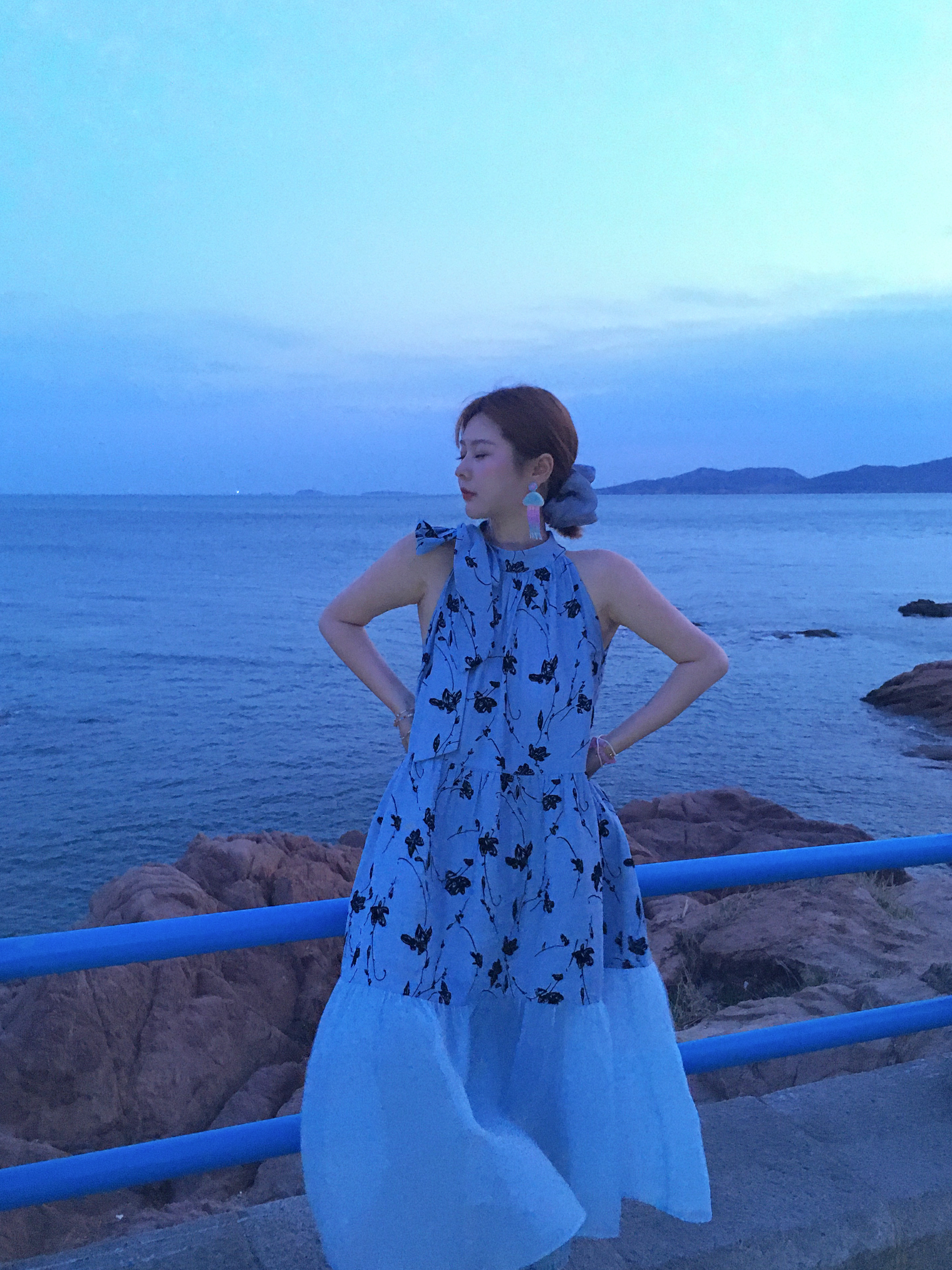 Vintage Rose Sea Wave French Print Sheer Halter Dress - Women's Summer Loose Retro Maxi Dress for Boho Style